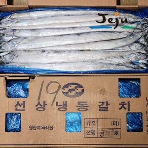 정품정량 제주 은갈치 선동갈치 10kg 1박스 한림갈치 통갈치 냉동갈치 제주한림수산, 대(33마리/10kg-1박스), 1개