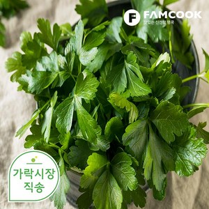 [팸쿡] 가락시장직송 이태리파슬리 300g, 상세 설명 참조, 1개