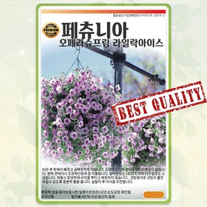 페튜니아 씨앗 10립 라일락 페츄니아 종자 꽃씨 몰 봄 여름 가을 야생화 페튜니아씨 SG, 1개