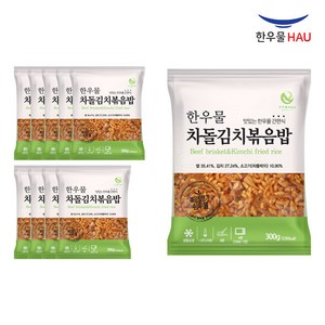 [자연맘스토리] 한우물 차돌김치 볶음밥 300g x 10개