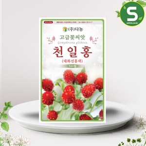 솔림텃밭몰 다농 큰꽃천일홍씨앗 100립 선홍색 천일홍씨앗 꽃씨앗, 1개