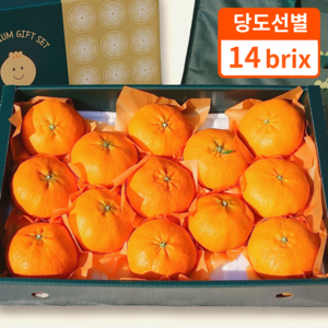 제주 레드향 과일 선물세트 특품로얄과, 1개, 3kg