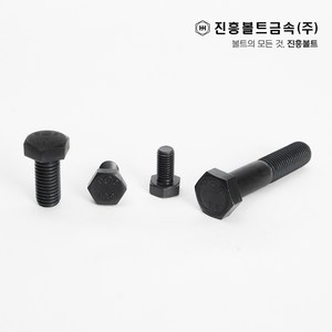 특강 고장력 육각볼트 개당 판매(12mm ~ 100mm) M6 M8 M10 M12 M14, 70mm, 1개