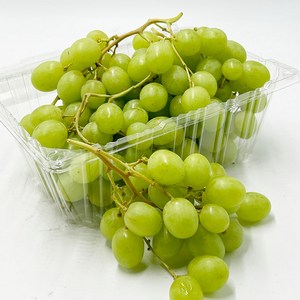 오톰크리스피 포도 씨없는 애플 청포도 1kg
