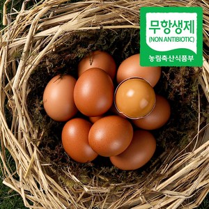 무항생제 초란 대란구운계란 HACCP 맥반석 30구 부활절계란 청라상회계란, 3개