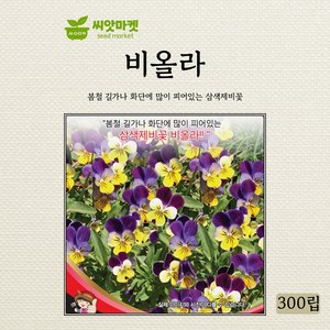 세계종묘 비올라 삼색제비꽃 씨앗 300립, 비올라 300립, 1개