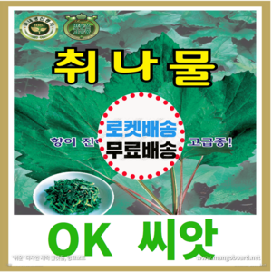 [OK씨앗] [취나물] 취나물씨앗 종자(오케이씨앗), 1개