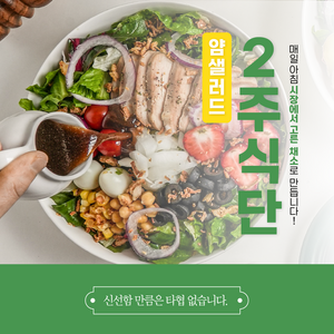 샐러드 포케 정기배송 2주 다이어트 식단 얌샐러드 구독 배달 야채 도시락 새벽 배송, 12개, 400g, 샐러드(월/수/금)