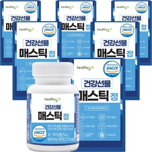 건강선물 속편한 매스틱 정 식약처 HACCP 인증 600mg 90정, 6개