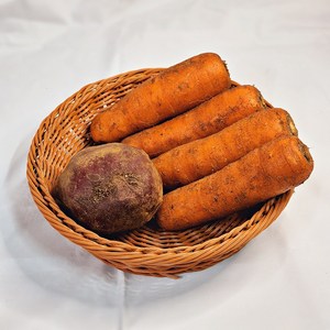 나눔농산물 제주도 구좌 흙당근 국산 1kg 2kg 3kg 5kg, 1개, 흙당근 상2kg