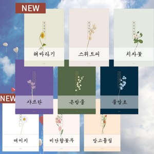 [10종모음] 2024 날짜형 일러스트 꽃 다이어리 먼슬리, 물망초