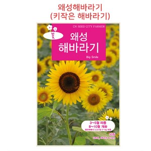 왜성해바라기씨앗 50립/미니해바라기/키작은해바라기, 1개