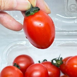 꿀맛 스테비아 방울토마토 제철과일 방토 tomato 당뇨 간식 500그램, 12개, 500g