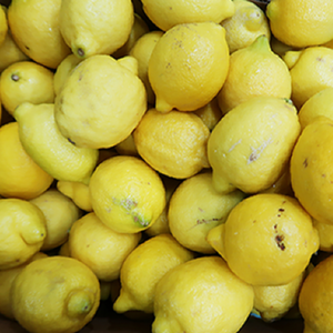 실속형 못난이 미국 레몬 (소과100g 165과), 165개, 165과 소과100g내외