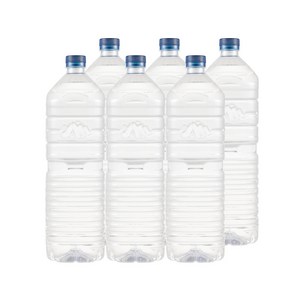샘소슬 아이스워터 2L x 24병, 24개