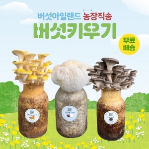 버섯키우기 금빛1+노루1+느타리1, 1세트