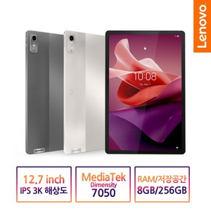 Lenovo Tab P12 QHD 256GB, 스톰그레이, Wi-Fi