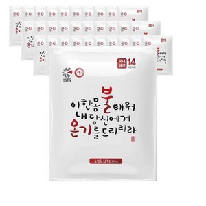 [안전]굿가성비 불온기 핫팩 포켓용 중형100g X 30개입, 1개