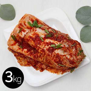 대전 조풍연 매운 실비 김치 3kg