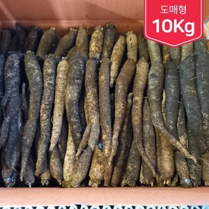 제주흙더덕 업소 및 도매형(대량판매) (특 상 중상 중) 10kg, (중상) 10kg, 1개