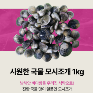 모시조개 1kg 남해안 조개탕 50미내외 시원한국물 요리 바지락 대용으로 깔끔하고 아주좋아요, 1개