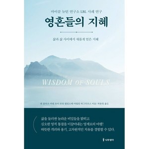 영혼들의 지혜:마이클 뉴턴 연구소 LBL 사례 연구, 앤 클라크 카렌 조이 조안 셀린스케 마릴린 하그리브스, 나무생각