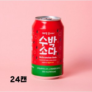 수박소다 탄산음료 24캔, 24개, 350ml