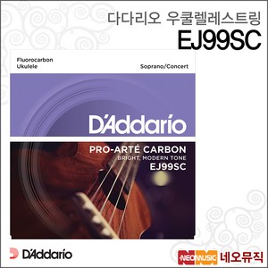 다다리오 EJ99SC, 다다리오 EJ99SC_P1, 1개