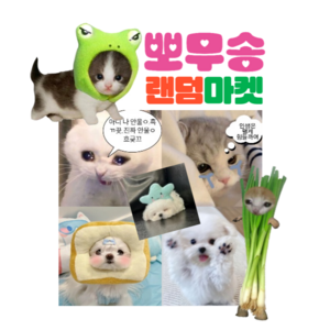 팬시 도무송 스티커 강아지 고양이 냥이 뽀무송 스쿱마켓 랜덤마켓 랜덤박스 아이브 덤 예쁜 프리쿠라, 1개