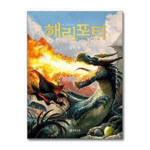 해리 포터와 불의 잔 4 무선, 문학수첩, J.K. 롤링