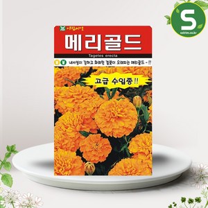 솔림텃밭몰 메리골드씨앗 20립 꽃씨앗 꽃씨 메리골드 오렌지색, 1봉