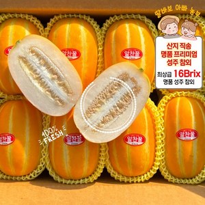 [산지 직송] 16bix 꿀당도 고당도 선별 아삭달콤 프리미엄 성주 참외, 1개, (선물용) 로얄과 5kg