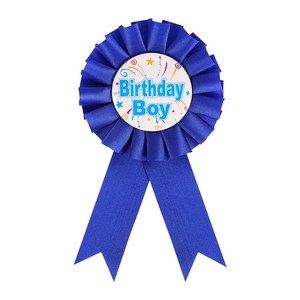 파티짱 생일 뱃지 브로치 선물 장식, 블루