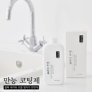 청소신 만능 코팅제, 1개, 300g