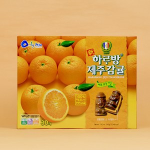 제주 코롬방 감귤초콜릿 30개입, 186g, 1개