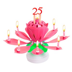 아이템하우스 멜로디 연꽃초, 핑크, 1개