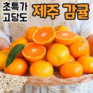 [정품] 제주 제주도 서귀포 산지직송 고당도 노지 하우스 귤 감귤 밀감, 1박스, 10kg(중과)