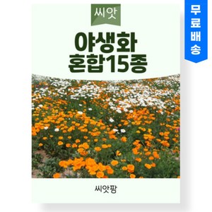 야생화 씨앗 꽃씨 혼합15종 (100g) 꽃잔디, 1개