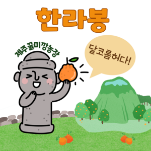 [제주꿀미깡농장] 제주산지직송 제철 고당도 한라봉 가정용 선물용, 1박스, 선물용 5kg