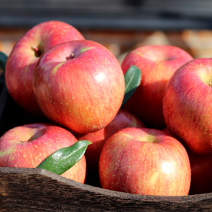 고당도 경북 부사 햇사과 가정용 꿀사과 실중량 10kg (47~65과), 1박스, 소과 실중량 10KG(47~65과)