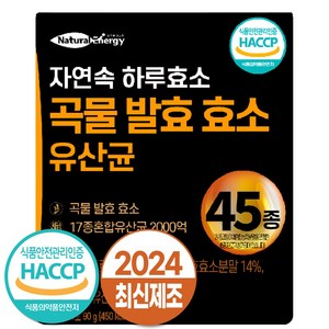 자연속 하루 효소 곡물 발효 효소 유산균 45종, 90g, 1개