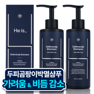 히이즈 디펜스칼프 두피가려움 & 비듬각질 박멸 쿨링샴푸, 2개, 500ml