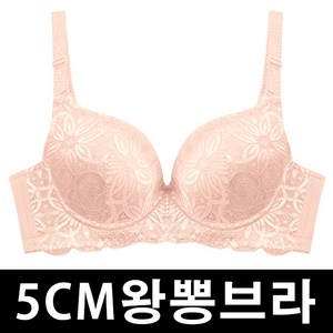 5CM왕뽕브라 임펙트 뽕브라 볼륨업브라 여성속옷 왕뽕속옷