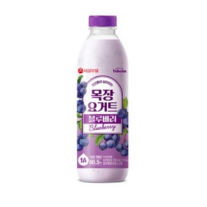 상큼함이 살아있는 요구르트 블루베리 750mL, 6개