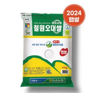 동송농협 철원오대쌀 4kg 2024년 햅쌀 철원오대미, 1개