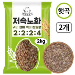 [쌀쌀쌀] 저속노화 렌틸콩 귀리 혼합 잡곡 밥 100% 햇곡, 2개, 2kg