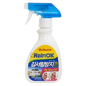 불스원 레인OK 김서림방지 스프레이, 280ml, 10개