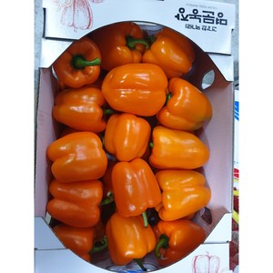 주황파프리카 오렌지파프리카 1kg, 1개입, 1개