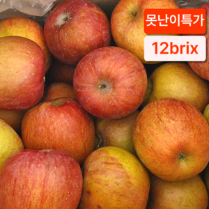 [가격파괴] 못난이 사과 초특가 쿠팡추천, 1개, 5kg (랜덤과)