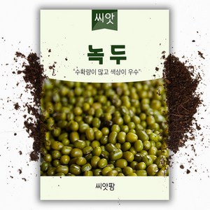 녹두 씨앗(30g), 1개